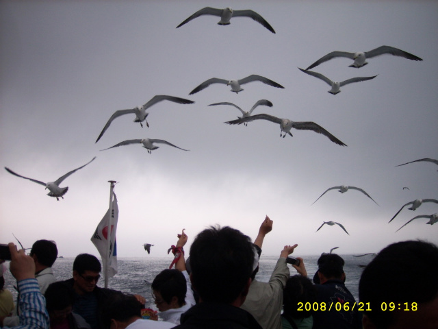 첨부파일1 이미지